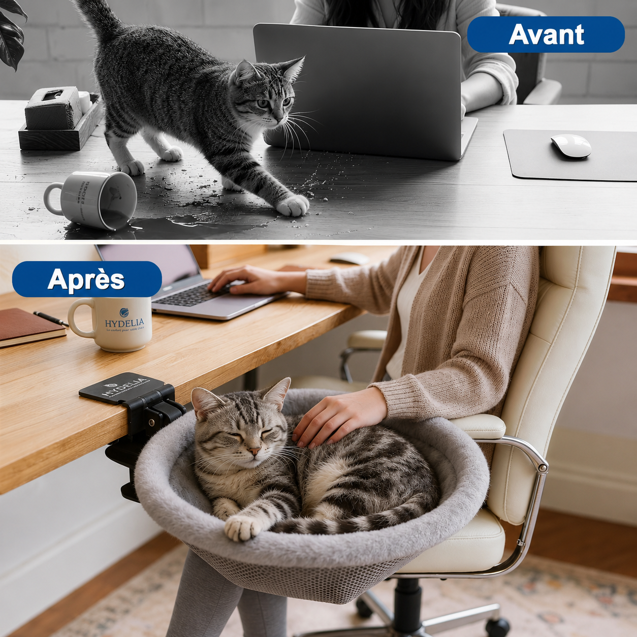 CatNest™